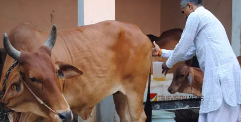  മൂത്രത്തിന് ഇത്രയും ഗുണമോ...? ഗോമൂത്രം ഉപയോഗിച്ച് മരുന്നുകൾ നിർമിക്കാനൊരുങ്ങി യു.പി സർക്കാർ