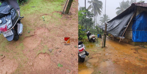 കോഴിക്കോട് കക്കാടംപൊയിലില്‍ വീണ്ടും കാട്ടാന ആക്രമണം; വൃദ്ധ ദമ്പതികളുടെ വീട് ഭാഗികമായി തകര്‍ന്നു