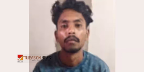 കേസൊഴിഞ്ഞിട്ട് നേരമില്ലല്ലേ...! തിരുവനന്തപുരത്ത് പോക്‌സോ കേസ് പ്രതി എംഡിഎംഎയുമായി പിടിയിൽ
