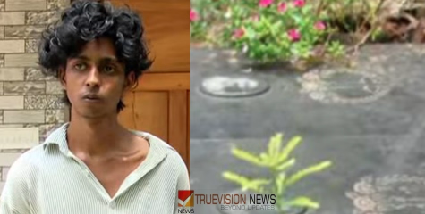 'ഭൂമി അവരുടേതെങ്കിൽ ആ മണ്ണിൽ എന്റെ അച്ഛനും അമ്മയും കിടക്കേണ്ട'; നെയ്യാറ്റിൻകരയിൽ പൊള്ളലേറ്റ് മരിച്ച മാതാപിതാക്കളുടെ കല്ലറ പൊളിക്കാൻ ഒരുങ്ങി മകൻ