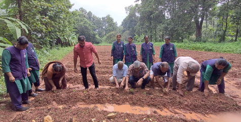 ഓണത്തിന് ഒരു കൊട്ട പൂവ്:പൂകൃഷി ഒരുക്കി ആന്തൂർ നഗരസഭ 