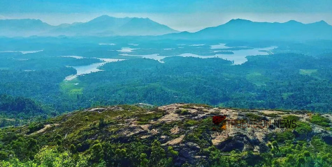 പൊന്നിൻ വസന്തം....! ആകാശം മുട്ടിനിൽക്കുന്ന പൊന്മുടിക്കോട്ടയിലേക്ക് യാത്ര തിരിച്ചാലോ?