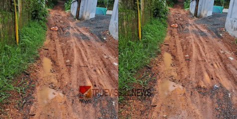 യാത്ര ദുസ്സഹം; മരുന്നോളി കുരുമ്പേരി റോഡിൻ്റെ ശോചനീയാവസ്ഥ പരിഹരിക്കുക - യൂത്ത് ലീഗ്