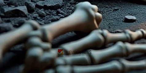 തിരഞ്ഞത് ക്രിക്കറ്റ് ബോൾ, കണ്ടത് മനുഷ്യാസ്ഥികൂടം; ആൾതാമസമില്ലാത്ത വീട്ടിൽ ഞെട്ടിപ്പിക്കും കാഴ്ച