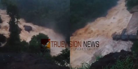 കോഴിക്കോട് ജില്ലയിൽ കനത്ത മഴ; കടന്ത്രപ്പുഴ കരകവിഞ്ഞൊഴുകി, ഇല്ലിക്കല്‍ കോളനിയിലെ 16 കുടുംബങ്ങളെ ക്യാമ്പിലേക്ക് മാറ്റി
