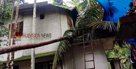 ആഞ്ഞുവീശി കാറ്റ്; പുറമേരിയില്‍ തെങ്ങ് വീണ് വീടിന് നാശനഷ്ടം
