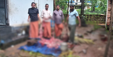 കാട്ടുപന്നി ഇറച്ചിയുമായി 4 പേരെ പിടികൂടി