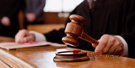 പൂച്ചകൾക്ക് പ്രതിരോധ വാക്സിൻ നൽകിയില്ല; ഗൃഹനാഥന് ആറായിരം രൂപ പിഴ വിധിച്ച് കോടതി