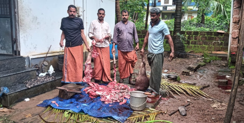 കാട്ടുപന്നിയെ വേട്ടയാടി:  നാല് പേർ റിമാൻഡിൽ