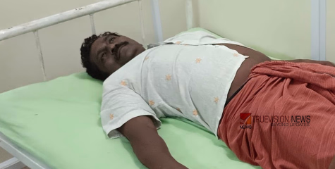 കോഴിക്കോട് തൊട്ടിൽപ്പാലത്ത് വീണ്ടും കാട്ടാന ആക്രമണം; വീട്ടുമുറ്റത്ത് നിന്ന ദമ്പതികൾക്ക് പരിക്ക്