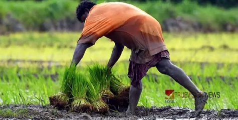 സംസ്ഥാന കര്‍ഷക അവാര്‍ഡ്; 23 വരെ അപേക്ഷിക്കാം