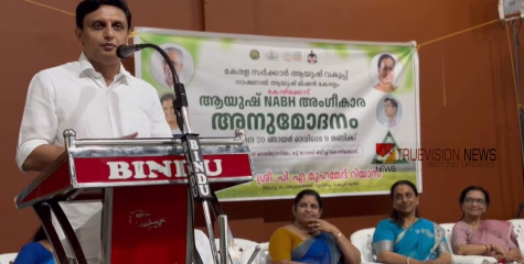 ആയുഷ് സ്ഥാപനങ്ങൾ ആരോഗ്യ മേഖലയിലെ കൂട്ടായ പ്രവർത്തനത്തിന് മികച്ച മാതൃക -മന്ത്രി മുഹമ്മദ് റിയാസ്