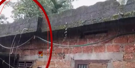 'ഫോട്ടോയെടുത്ത് പോകുകയല്ലാതെ മറ്റൊരു നടപടിയും എടുത്തില്ല'; കെഎസ്ഇബിക്കെതിരെ കൊയിലാണ്ടിയില്‍ ഷോക്കേറ്റ് മരിച്ച വയോധികയുടെ കുടുംബം
