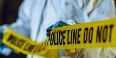 പത്തനംതിട്ടയിൽ കൂട്ടആത്മഹത്യാശ്രമം; യുവതിക്ക് ദാരുണാന്ത്യം, ഭർത്താവും മകനും ചികിത്സയിൽ 