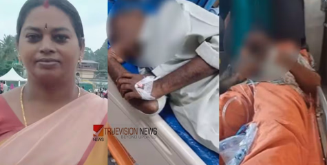 അമ്മേ എനിക്ക് പേടിയാണെന്ന് മകൻ, പത്തനംതിട്ടയിൽ കൂട്ടആത്മഹത്യാശ്രമം; വീട്ടമ്മ മരിച്ചു, ഭർത്താവും മകനും ചികിത്സയിൽ 