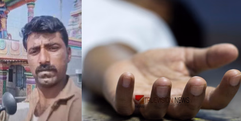 കീടനാശിനി തളിച്ച പച്ചക്കറി കഴിച്ചു; അച്ഛനും രണ്ട് പെൺമക്കൾക്കും ദാരുണാന്ത്യം, അമ്മ ഗുരുതരാവസ്ഥയിൽ