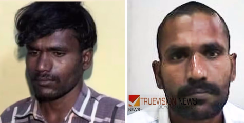 'ലൈംഗിക സംതൃപ്തിക്കായി അയാൾ എന്തും ചെയ്യും', പ്രതികരിച്ച് സൗമ്യയുടെ മൃതദേഹം പരിശോധിച്ച ഫോറൻസിക് വിദഗ്ധ