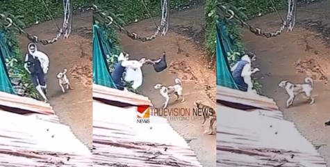 കോഴിക്കോട് നാദാപുരത്ത് വിദ്യാർഥിനികൾക്ക് നേരേ തെരുവുനായ ആക്രമണം; ബാഗ് കൊണ്ട് പ്രതിരോധിച്ച് കുട്ടികൾ