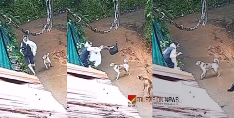 നാദാപുരത്ത് തെരുവുനായ ആക്രമണം; വിദ്യാർഥിനികൾക്ക് നേരേ നായകൾ കുരച്ച് ചാടി, ബാഗ് കൊണ്ട് പ്രതിരോധിച്ച് കുട്ടികൾ