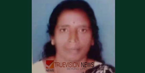 ഒടിഞ്ഞുവീണ മരച്ചില്ലയുടെ അടിയിൽപ്പെട്ട് വീട്ടമ്മയ്ക്ക് ദാരുണാന്ത്യം; അപകടം വീട്ട് മുറ്റത്തെ ജോലിക്കിടെ