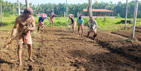 മികവ് തെളിയിച്ച കർഷകരെ തിരഞ്ഞെടുത്ത് ആദരിക്കുന്നതിനായി അർഹരായ കർഷകരിൽ നിന്നും അപേക്ഷകൾ ക്ഷണിക്കുന്നു