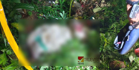 'മാല നൽകിയില്ല, പട്ടിക കൊണ്ട് തലക്കടിച്ചു'; തൃശൂരിൽ പിതാവിനെ കൊലപ്പെടുത്തിയത് സ്വർണ്ണമാലയ്ക്ക് വേണ്ടിയെന്ന് പ്രതിയുടെ മൊഴി