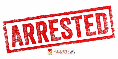 മോഷ്ടിച്ചെടുത്ത വാഹനത്തിൽ കറങ്ങി നടന്ന് മോഷണവും പിടിച്ചുപറിയും; റിയാദിൽ മലയാളികൾ ഉൾപ്പെടെയുള്ള പ്രവാസികളെ ഭീതിയിലാഴ്ത്തിയ സംഘം പിടിയിൽ