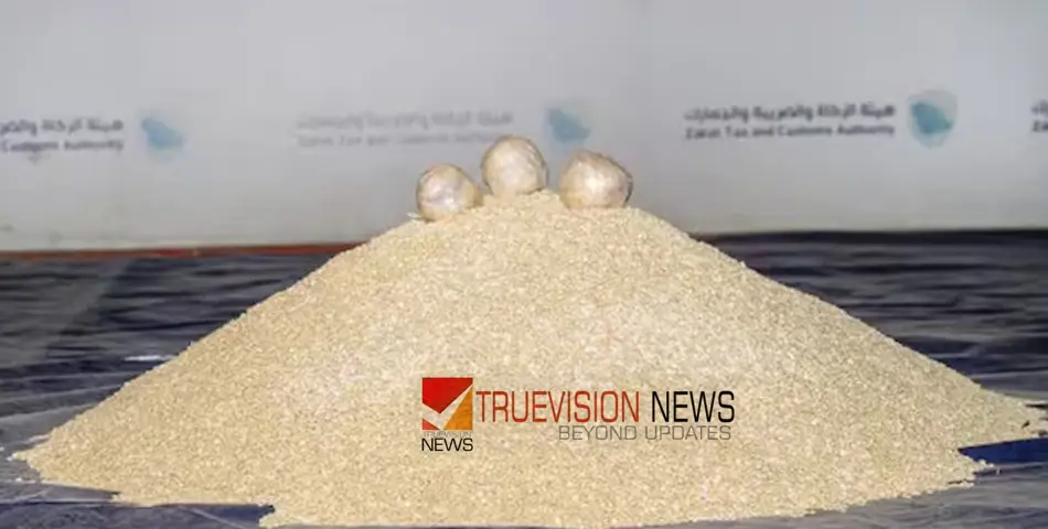 #narcoticpills |സൗദിയില്‍ വന്‍ ലഹരിമരുന്ന് വേട്ട; 65 കോടി മയക്കുമരുന്ന്​ ഗുളികൾ കടത്താനുള്ള ശ്രമം തടഞ്ഞു