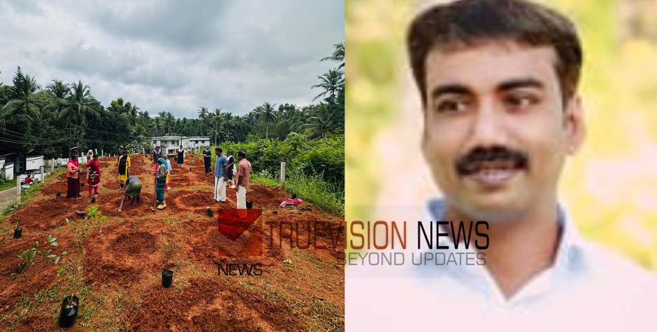പച്ചതുരുത്ത്  ഒരുങ്ങി; കോറോത്ത് കനാൽ പരിസരത്തെ ഫലവൃക്ഷ തോട്ടം സമർപ്പണം നാളെ