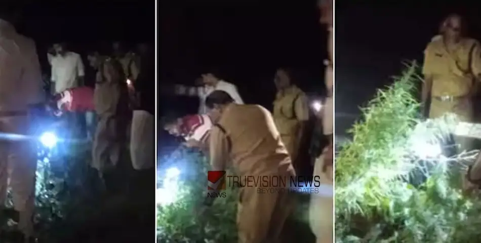 കണ്ടാൽ വാഴ കൃഷി തന്നെ! രഹസ്യ വിവരത്തിൽ രാത്രി പൊലീസ് പരിശോധന, കണ്ടത് 3 കഞ്ചാവ് ചെടി