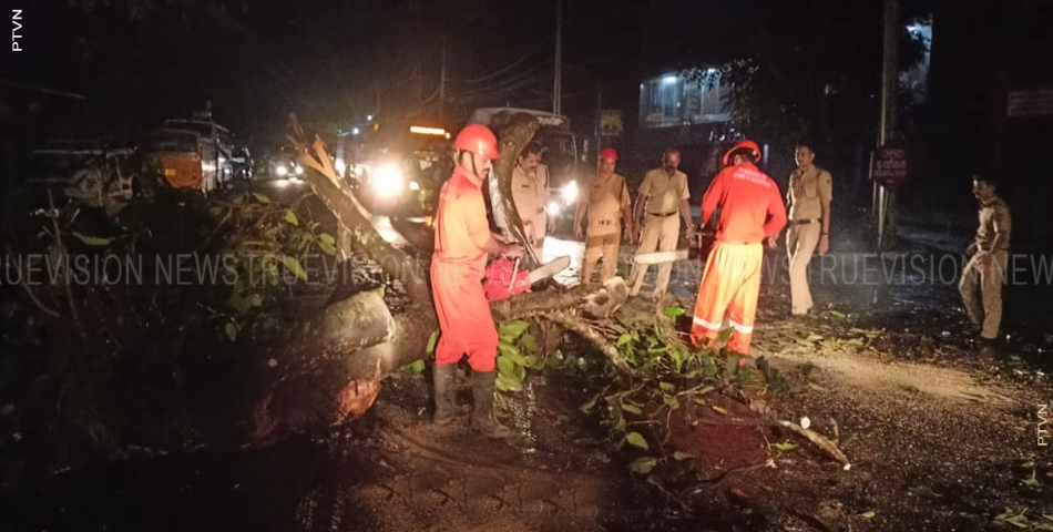 ആല്മരത്തിന്റെ കൊമ്പ് ദേശീയപാതയിലേക്ക് പൊട്ടി വീണു