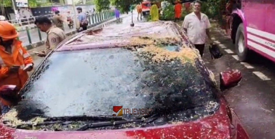 'ഇവിടെ വാഹനം പാർക്ക് ചെയ്യുന്നവർക്ക് വേണ്ടത് മുൻ കരുതൽ'; വാഹനത്തിന് മുകളിൽ മരം വീണ് അപകടം തുടർക്കഥ