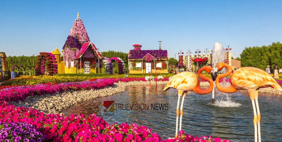 അത്ഭുതങ്ങളുടെ പൂന്തോട്ടം തിരികെയെത്തുന്നു; ദുബായ് മിറാക്കിൾ ഗാർഡന്റെ പുതിയ സീസൺ 29-ന് ആരംഭിക്കും