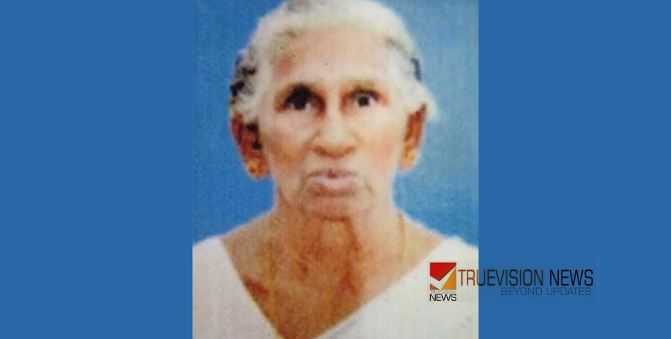 വരയന്റെ വളപ്പിൽ മാണിക്കം  അന്തരിച്ചു