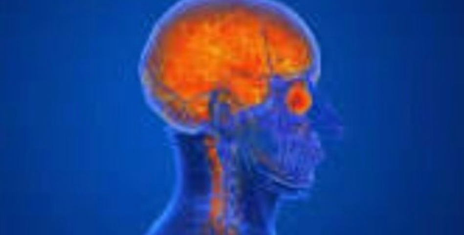 അമിബിക് ജ്വരം ബാധിച്ച് വീണ്ടും മരണം