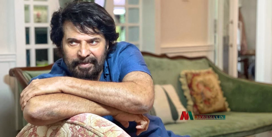 'താൻ എന്താ പഴയതാണോ....? അവാർഡൊന്നും പ്രതിക്ഷിച്ചിട്ടല്ല ചിത്രം ചെയ്തത്, സ്നേഹത്തിന് നന്ദി'- മമ്മൂട്ടി