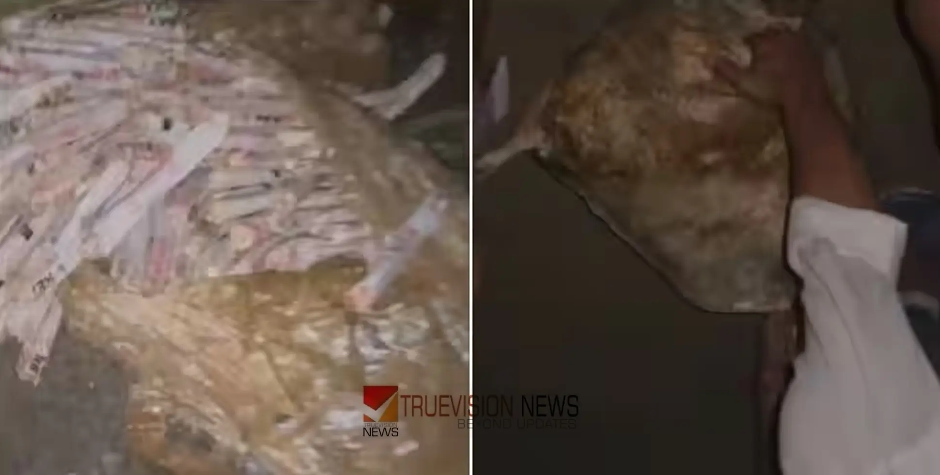 മീൻ പിടിക്കാനായി പാറക്കുളത്തിൽ വല എറിഞ്ഞു; കണ്ടെടുത്തത് സ്ഫോടക വസ്തു 