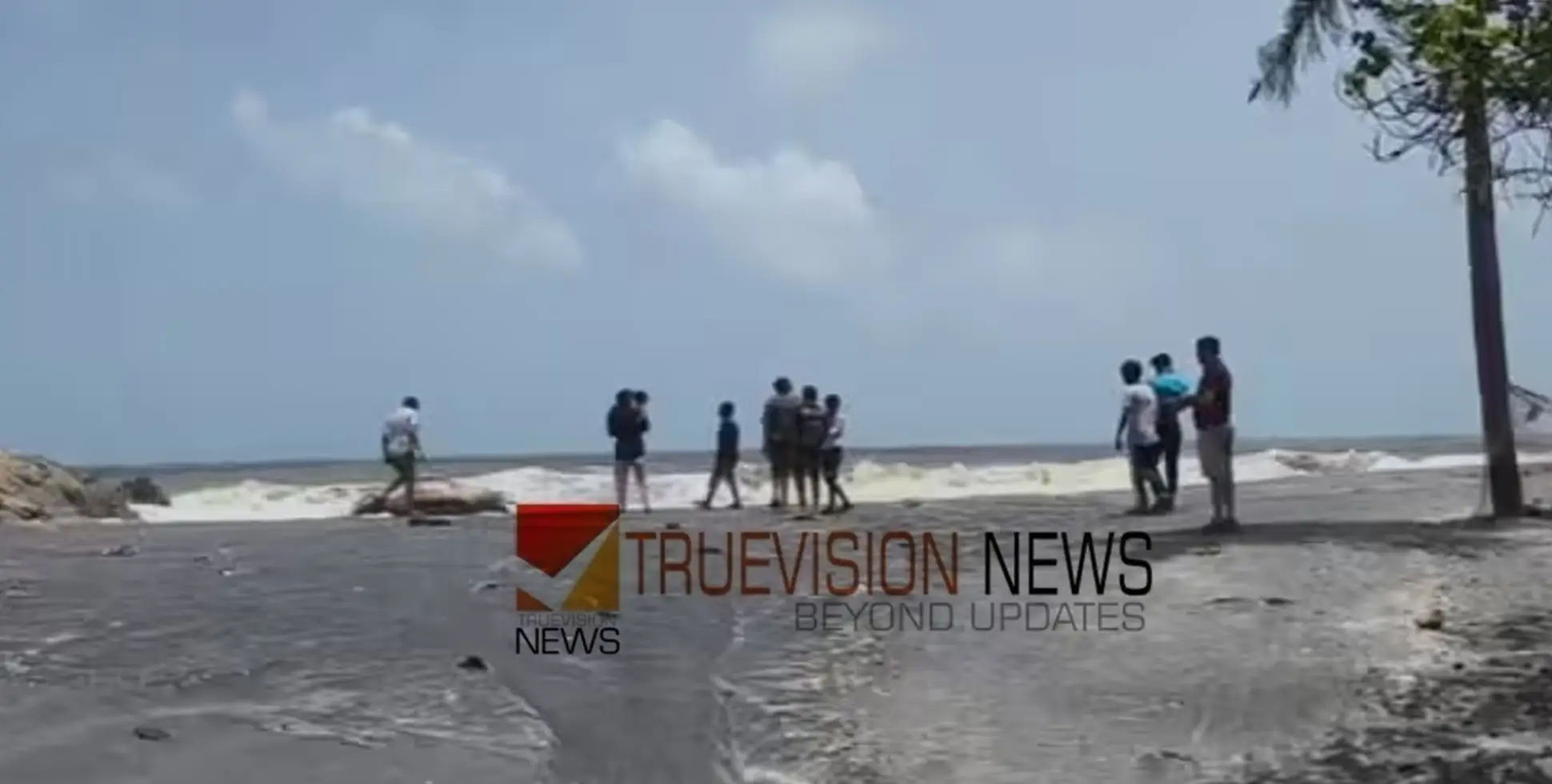 ആലപ്പുഴ  തറയിൽ കടവിൽ കണ്ടെയ്നർ അടിഞ്ഞതിന്റെ സമീപം ഡോൾഫിന്റെ ജഡം അടിഞ്ഞു