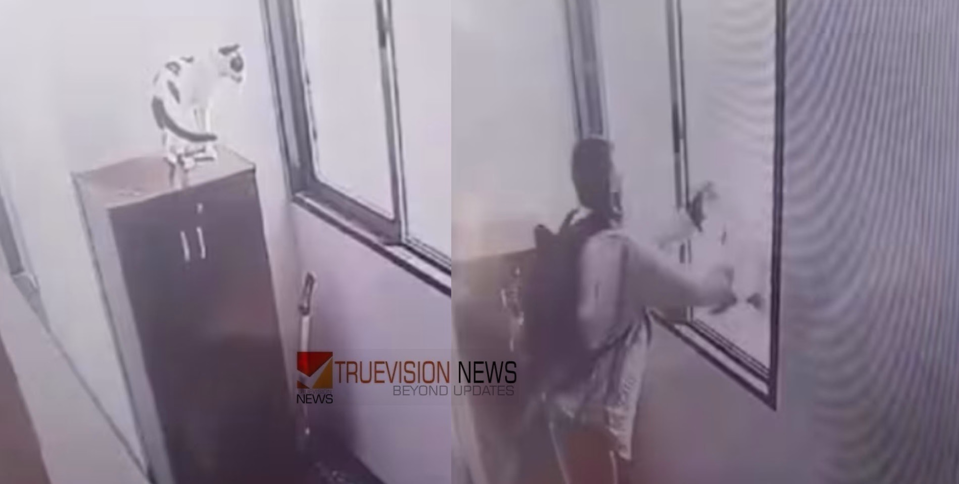 കണ്ണില്ലാ ക്രൂരത, മിണ്ടാപ്രാണിയെ ഏറിഞ്ഞു കൊന്നത് ഒമ്പതാം നിലയില്‍ നിന്ന്; കേസെടുത്ത് പൊലീസ്‌