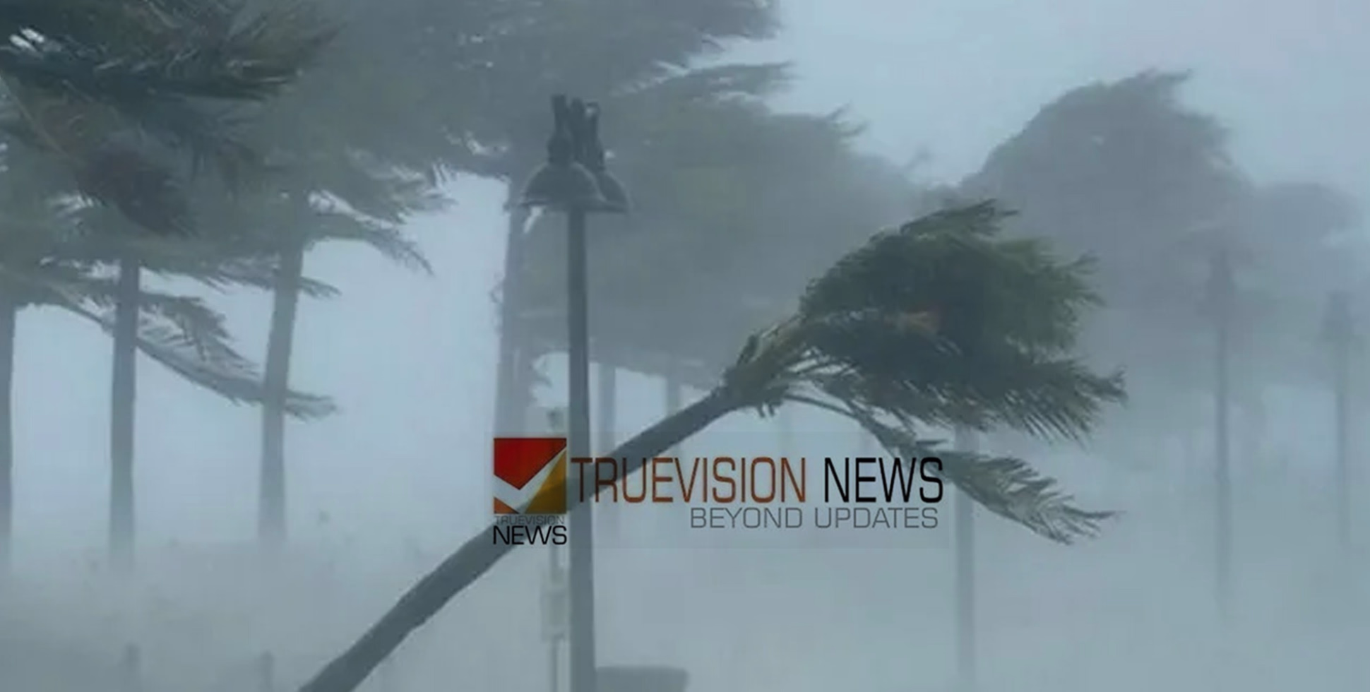നാദാപുരം വളയത്ത് മിന്നൽ ചുഴലി; ഇലക്ട്രിക് ലൈനിൽ മരം പൊട്ടി വീണ് വൈദ്യുതി ബന്ധം താറുമാറായി