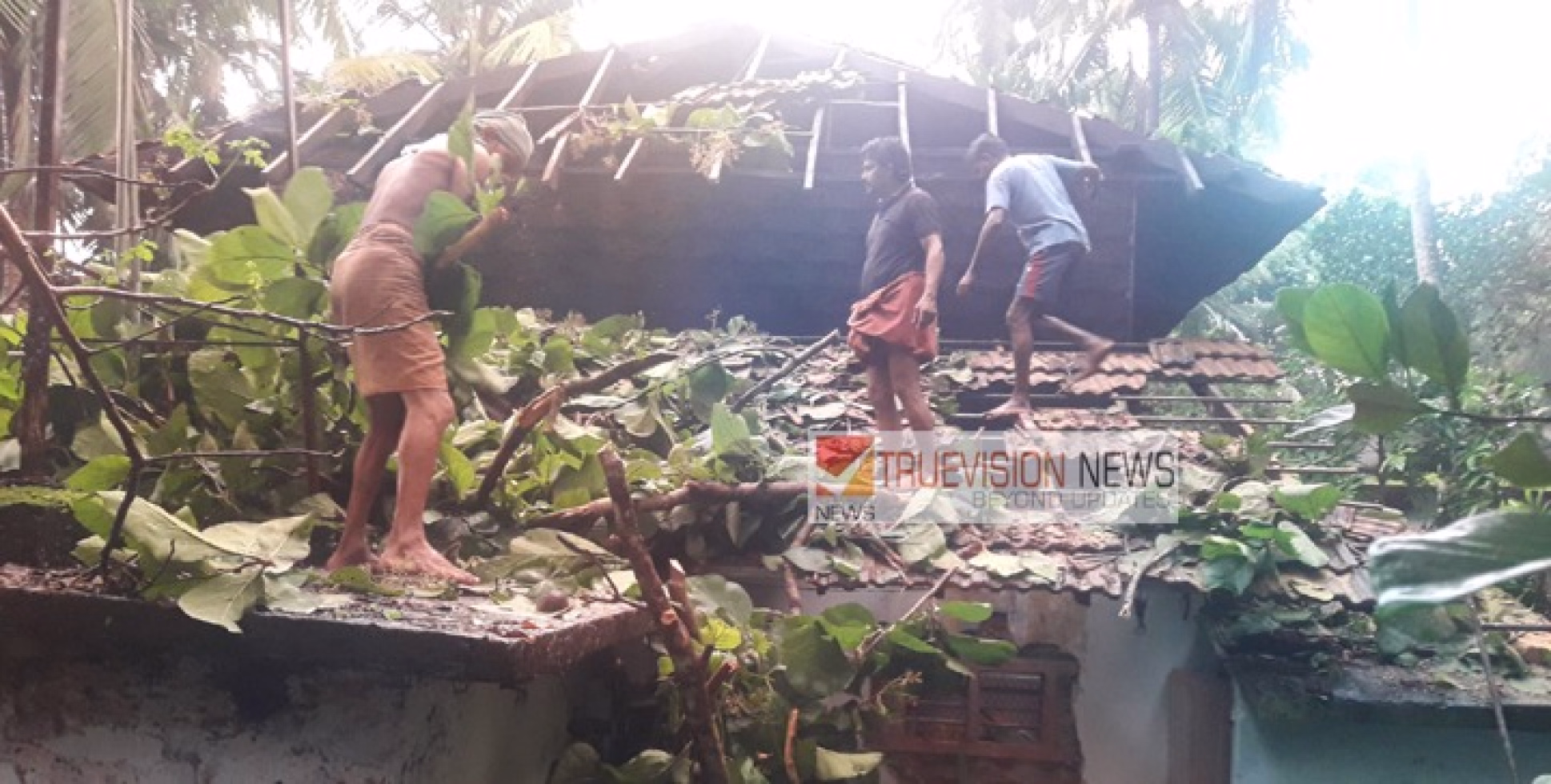 ശക്തമായ കാറ്റ് ; വടക്കുമ്പാട് വീടിന് മുകളിൽ കൂറ്റൻ തണൽമരം വീണ് മേൽക്കൂര തകർന്നു.