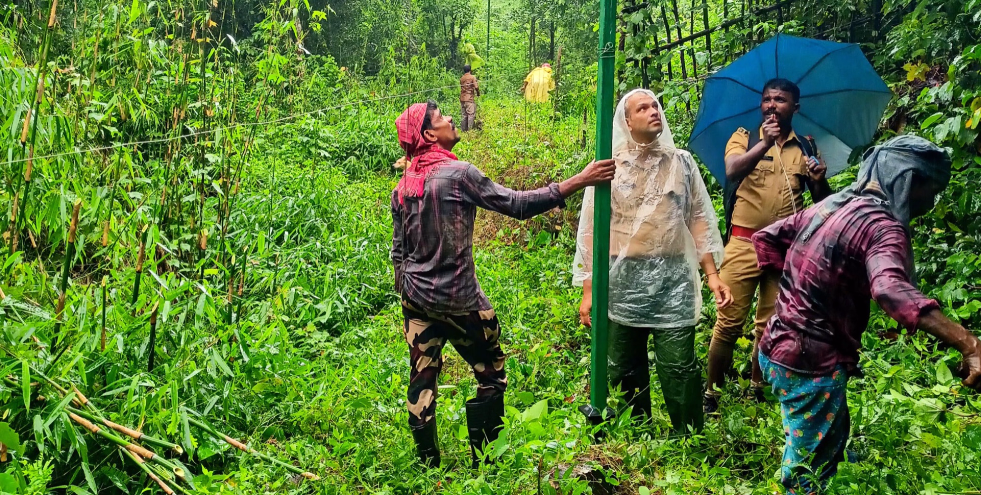 സൗരോർജ വേലി വൃത്തിയാക്കി