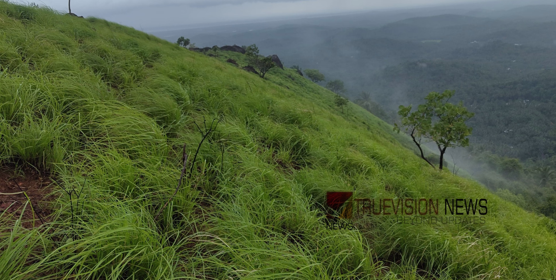 കുളിർ കാറ്റും കോടമഞ്ഞും ഇഷ്ട്ടമെങ്കിൽ വിട്ടോളു; 'കോഴിക്കോടിന്റ മീശപുലിമല' യിലേക്ക്